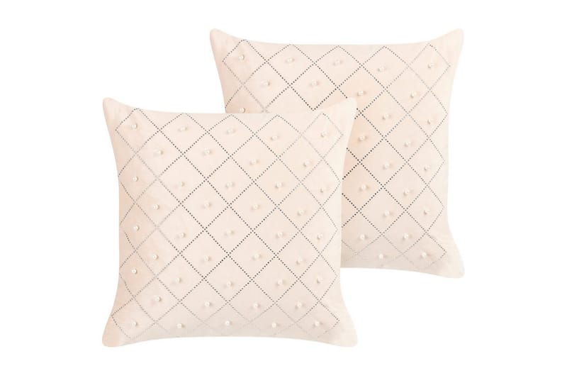 Koristetyynyt Yarrow sarja 2 Beige/Hopea, Beige/Hopea