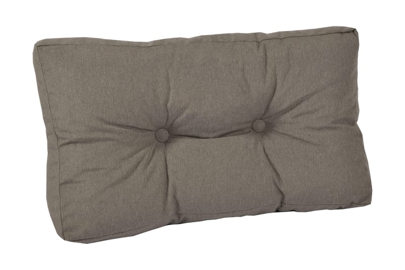 Selkäpehmuste Ada Mokka, Fritab