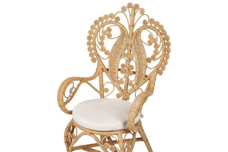 Riikinkukkotuoli Carrara - Puutarhakalusteet - Puutarhatuoli - Karmituoli ulos