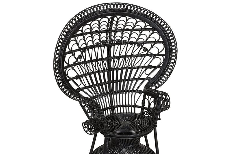 Riikinkukkotuoli Emmanuelle - Musta - Puutarhakalusteet - Puutarhatuoli - Ulkotilan nojatuolit