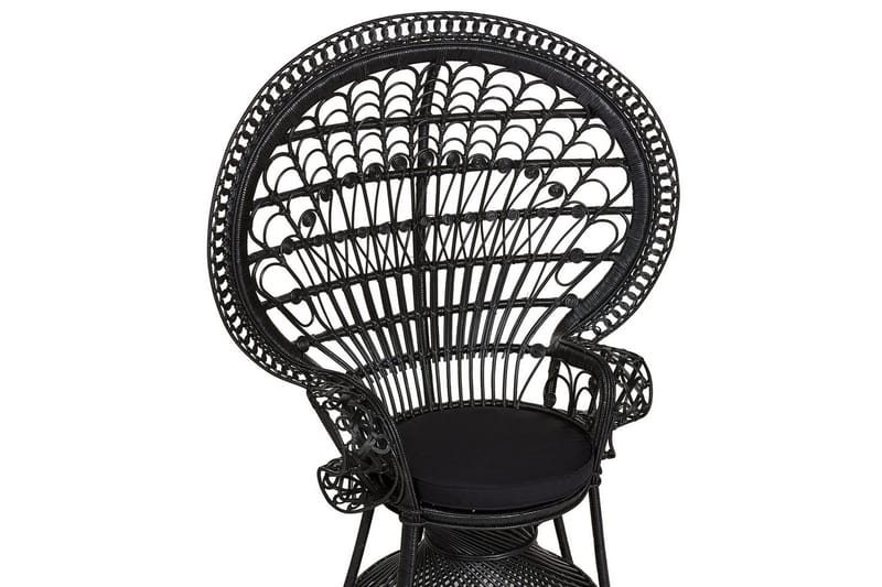 Riikinkukkotuoli Emmanuelle - Musta - Puutarhakalusteet - Puutarhatuoli - Ulkotilan nojatuolit