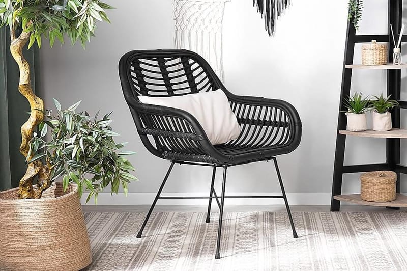 Puutarhatuoli Canora - Musta - Puutarhakalusteet - Puutarhatuoli - Ulkotilan ruokatuoli