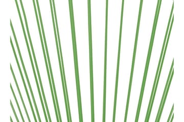 Tuoli Cayaco - Polyrottinki / vihreä - Puutarhakalusteet - Puutarhatuoli - Ulkotilan nojatuolit