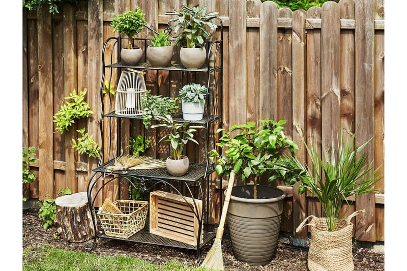 Kasvihylly 4 hyllyä Metalli Musta PAVONA - Musta - Puutarhakalusteet - Tarvikkeet ulos - Muut puutarhatarvikkeet - Hylly ulkokäyttöön
