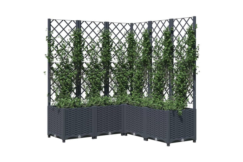 Kukkalaatikko säleiköllä tummanharmaa 120x120x136 cm PP - Harmaa - Puutarhakalusteet - Tarvikkeet ulos - Muut puutarhatarvikkeet - Ruukut ulkokäyttöön