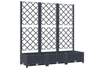 Kukkalaatikko säleiköllä tummanharmaa 120x40x121,5 cm PP - Harmaa - Puutarhakalusteet - Tarvikkeet ulos - Muut puutarhatarvikkeet - Ruukut ulkokäyttöön