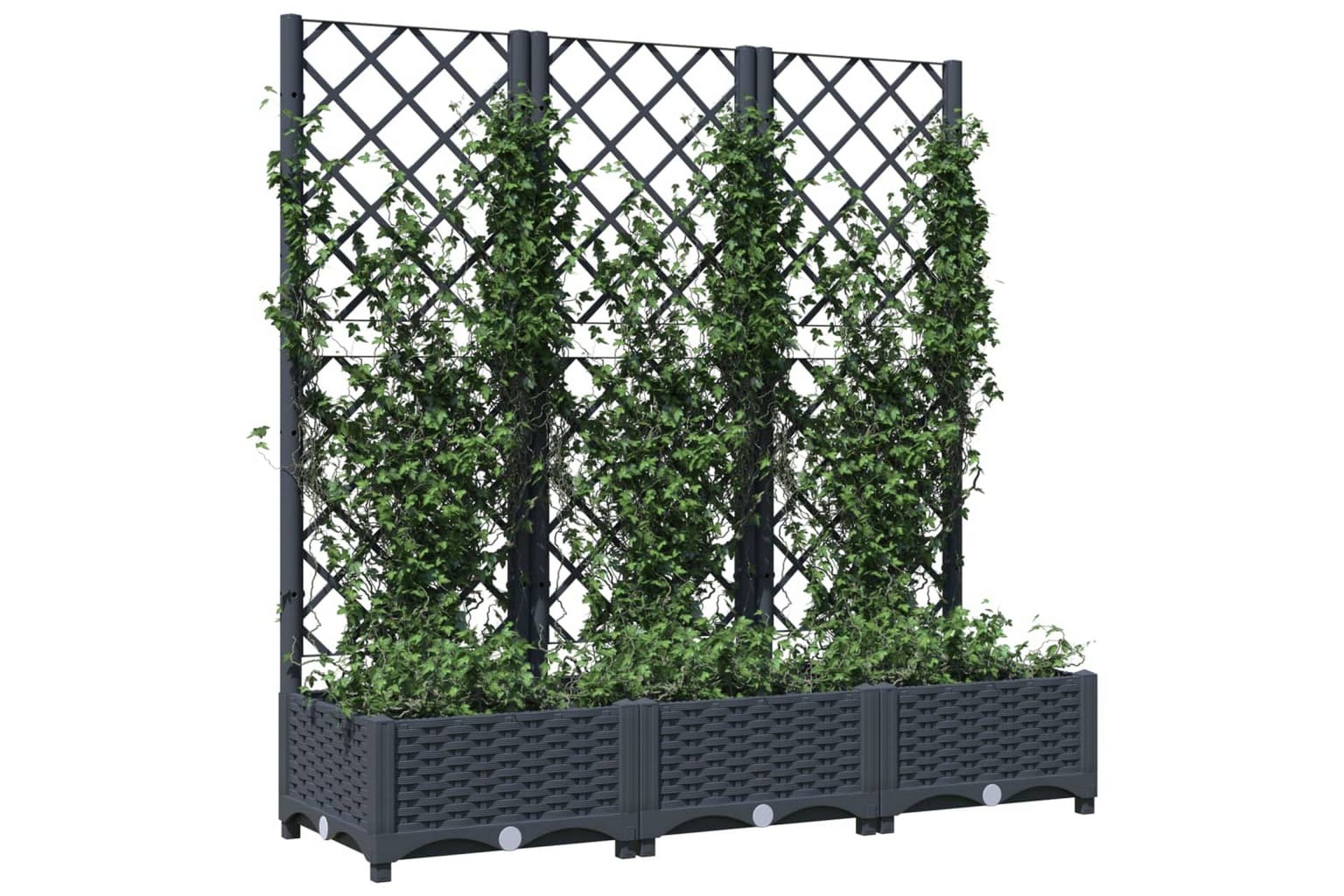 Kukkalaatikko säleiköllä tummanharmaa 120x40x121,5 cm PP - Harmaa - Puutarhakalusteet - Tarvikkeet ulos - Muut puutarhatarvikkeet - Ruukut ulkokäyttöön