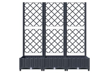 Kukkalaatikko säleiköllä tummanharmaa 120x40x121,5 cm PP - Harmaa - Puutarhakalusteet - Tarvikkeet ulos - Muut puutarhatarvikkeet - Ruukut ulkokäyttöön