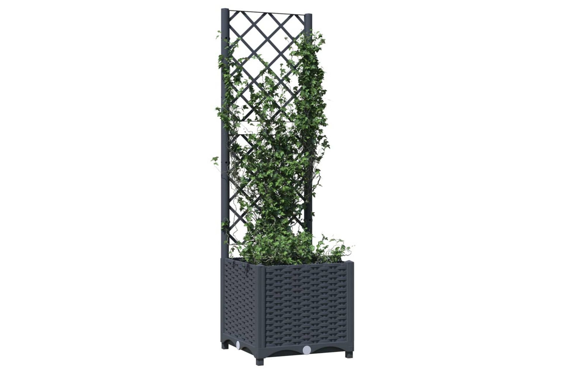 Kukkalaatikko säleiköllä tummanharmaa 40x40x136 cm PP - Harmaa - Puutarhakalusteet - Tarvikkeet ulos - Muut puutarhatarvikkeet - Ruukut ulkokäyttöön