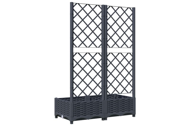 Kukkalaatikko säleiköllä tummanharmaa 80x40x121,5 cm PP - Harmaa - Puutarhakalusteet - Tarvikkeet ulos - Muut puutarhatarvikkeet - Ruukut ulkokäyttöön