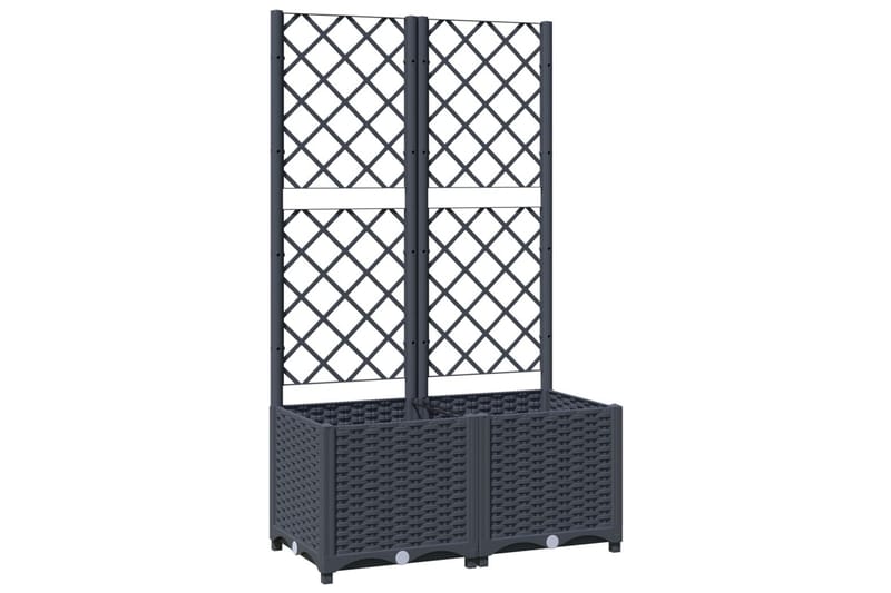 Kukkalaatikko säleiköllä tummanharmaa 80x40x136 cm PP - Harmaa - Puutarhakalusteet - Tarvikkeet ulos - Muut puutarhatarvikkeet - Ruukut ulkokäyttöön