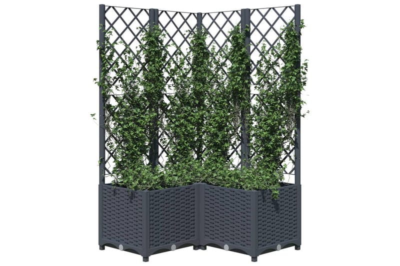 Kukkalaatikko säleiköllä tummanharmaa 80x80x136 cm PP - Harmaa - Puutarhakalusteet - Tarvikkeet ulos - Muut puutarhatarvikkeet - Ruukut ulkokäyttöön