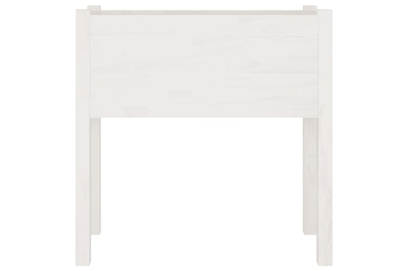 Puutarhan kukkalaatikko valkoinen 70x31x70cm täysi mänty - Valkoinen - Puutarhakalusteet - Tarvikkeet ulos - Muut puutarhatarvikkeet - Ruukut ulkokäyttöön