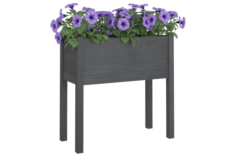 Puutarhan kukkalaatikot 2 kpl harmaa 70x31x70cm täysi mänty - Harmaa - Puutarhakalusteet - Tarvikkeet ulos - Muut puutarhatarvikkeet - Ruukut ulkokäyttöön