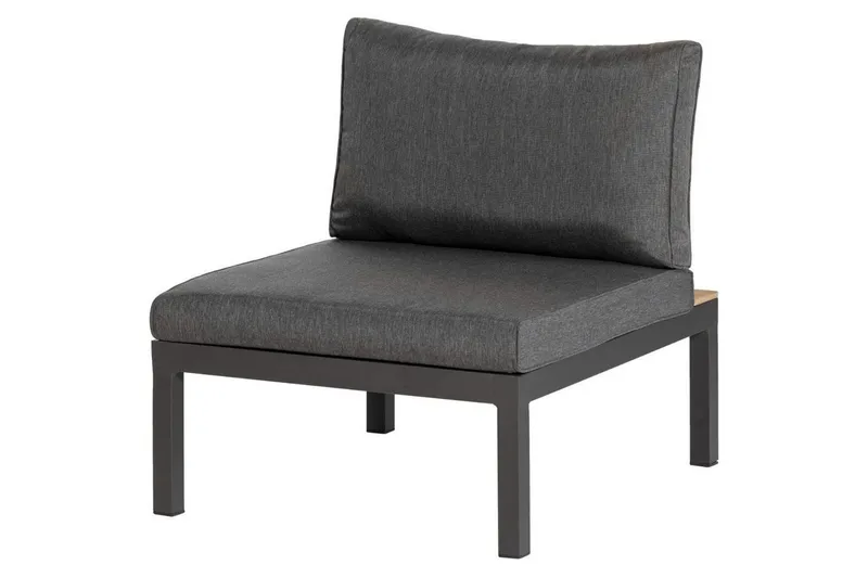 Puutarhan sohvapalanen La Vida, Antrasiitti