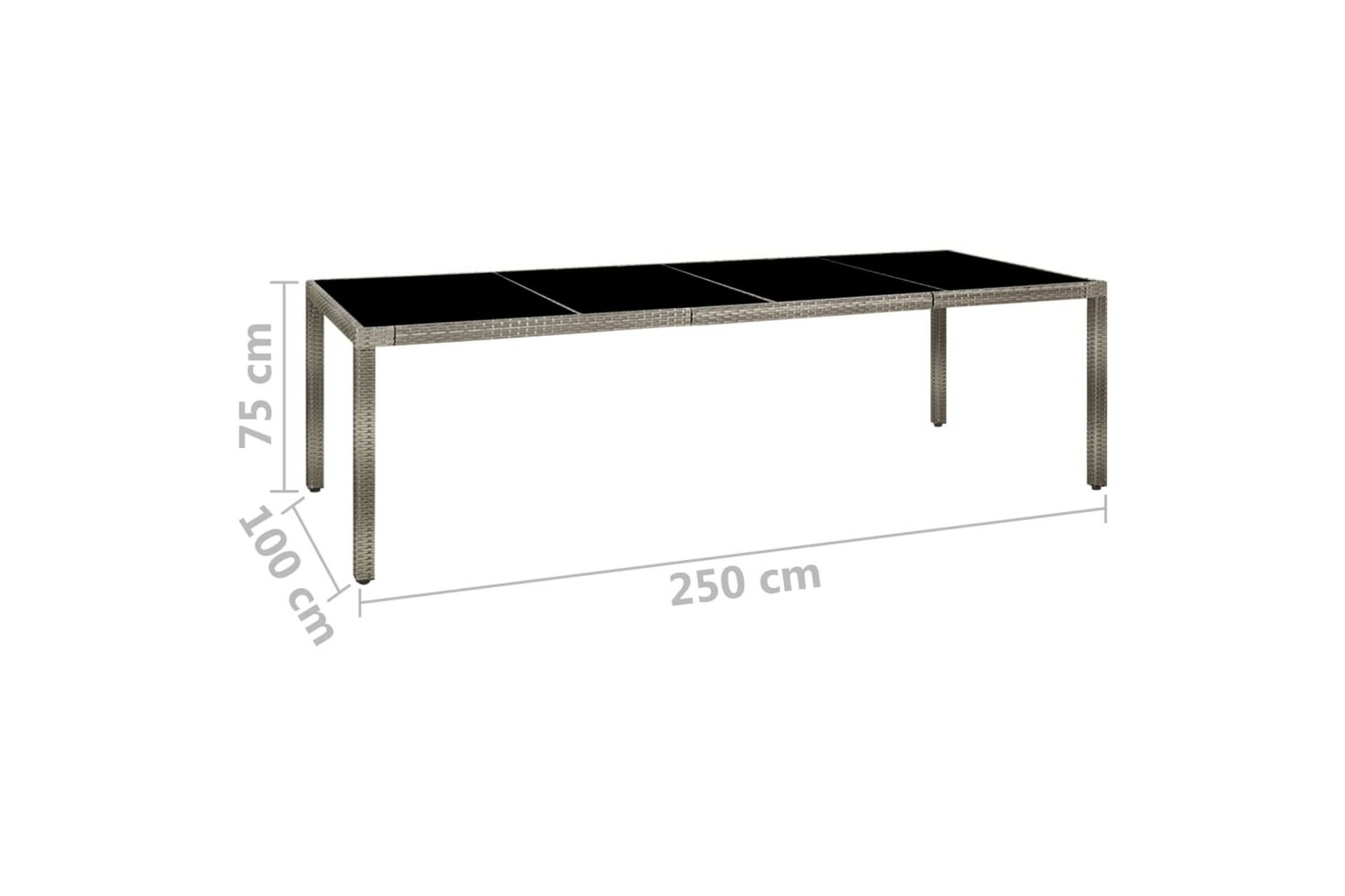 Puutarhapöytä 250x100x75cm karkaistu lasi ja polyrottinki ha - Harmaa - Puutarhakalusteet - Terassipöydät - Ruokapöytä terassille