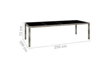 Puutarhapöytä 250x100x75cm karkaistu lasi ja polyrottinki ha - Harmaa - Puutarhakalusteet - Terassipöydät - Ruokapöytä terassille