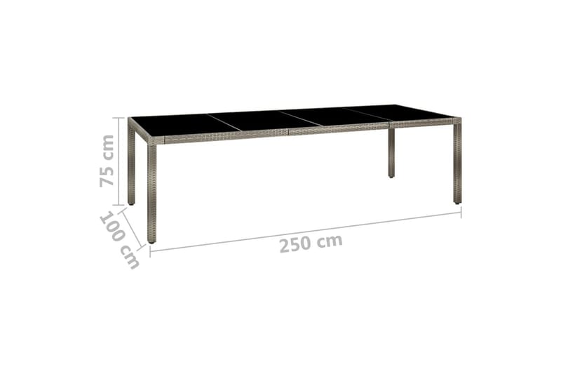Puutarhapöytä 250x100x75cm karkaistu lasi ja polyrottinki ha - Harmaa - Puutarhakalusteet - Terassipöydät - Ruokapöytä terassille