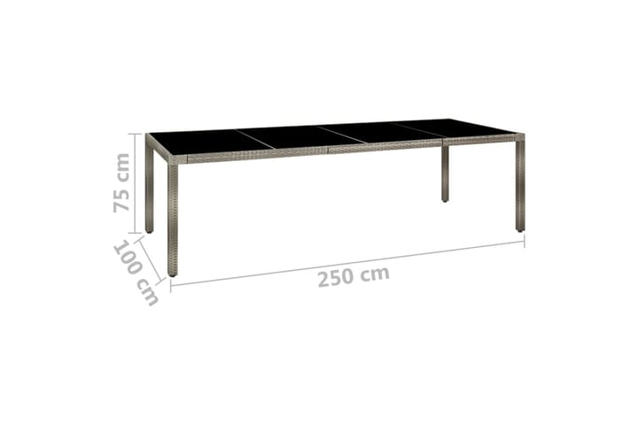 Puutarhapöytä 250x100x75cm karkaistu lasi ja polyrottinki ha - Harmaa - Ruokapöytä terassille