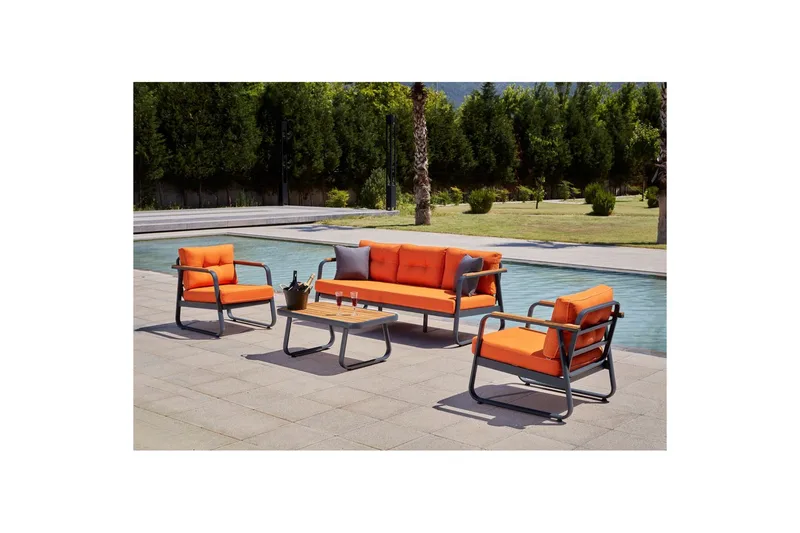 Puutarhan oleskeluryhmä Rio Oranssi, Oranssi