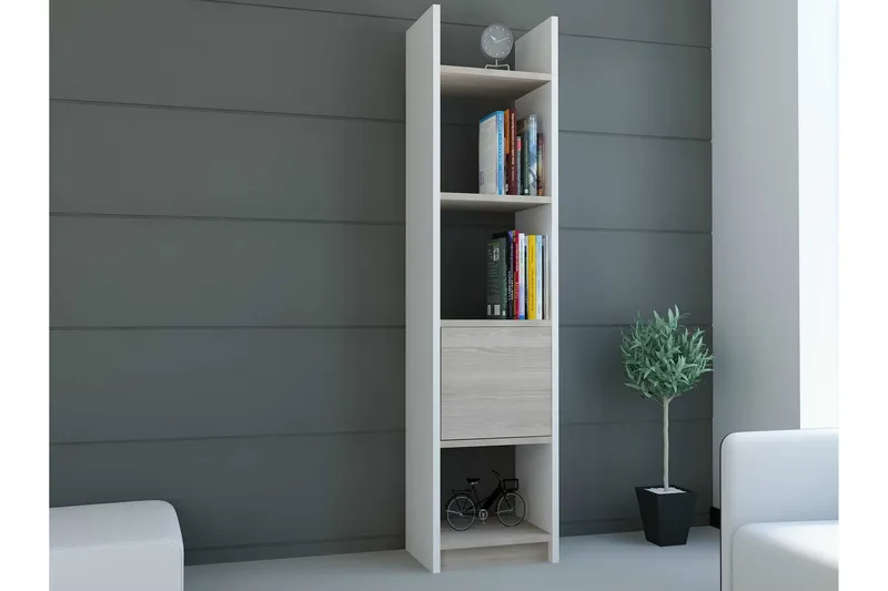 Kirjahylly Agaman Kapea, undefined