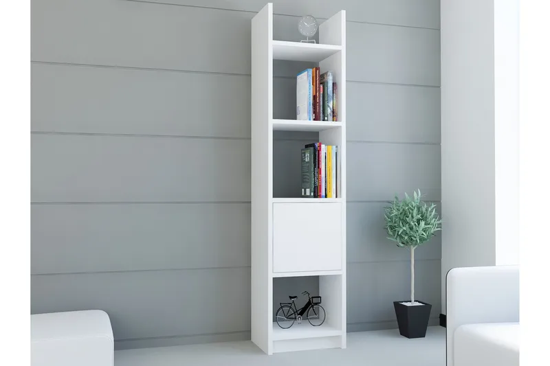 Kirjahylly Pangler Kapea, undefined