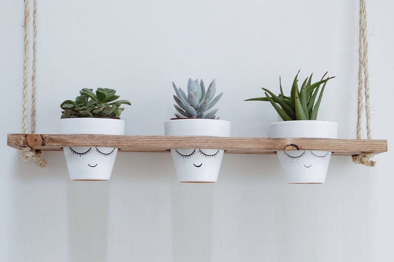 Naruhylly Arthur ruukuille, undefined