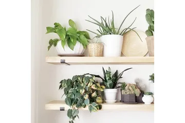 Wayte seinähylly 60 cm puuta metallirungolla musta/tammi - Musta/Tammi - Säilytys - Hylly - Seinähylly