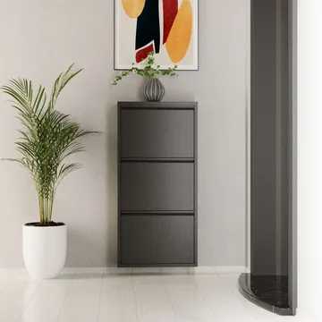 Rylanis kenkäkaappi 50x103 cm - Antrasiitti - Säilytys - Kenkäsäilytys
