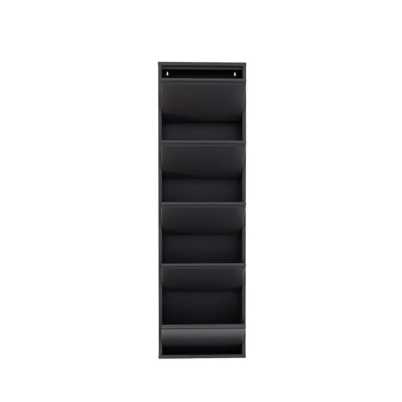 Rylanis kenkäkaappi 50x169 cm - Antrasiitti - Säilytys - Kenkäsäilytys