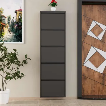 Rylanis kenkäkaappi 50x169 cm - Antrasiitti - Säilytys - Kenkäsäilytys
