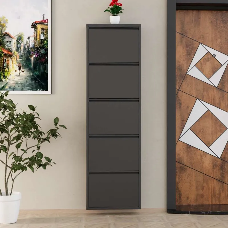 Rylanis kenkäkaappi 50x169 cm - Antrasiitti - Säilytys - Kenkäsäilytys