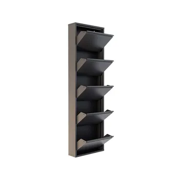 Rylanis kenkäkaappi 50x169 cm - Antrasiitti - Säilytys - Kenkäsäilytys