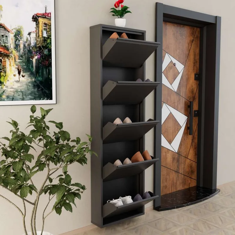 Rylanis kenkäkaappi 50x169 cm - Antrasiitti - Säilytys - Kenkäsäilytys