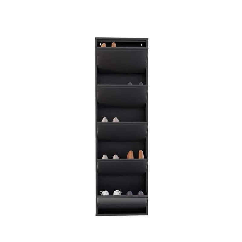 Rylanis kenkäkaappi 50x169 cm - Antrasiitti - Säilytys - Kenkäsäilytys