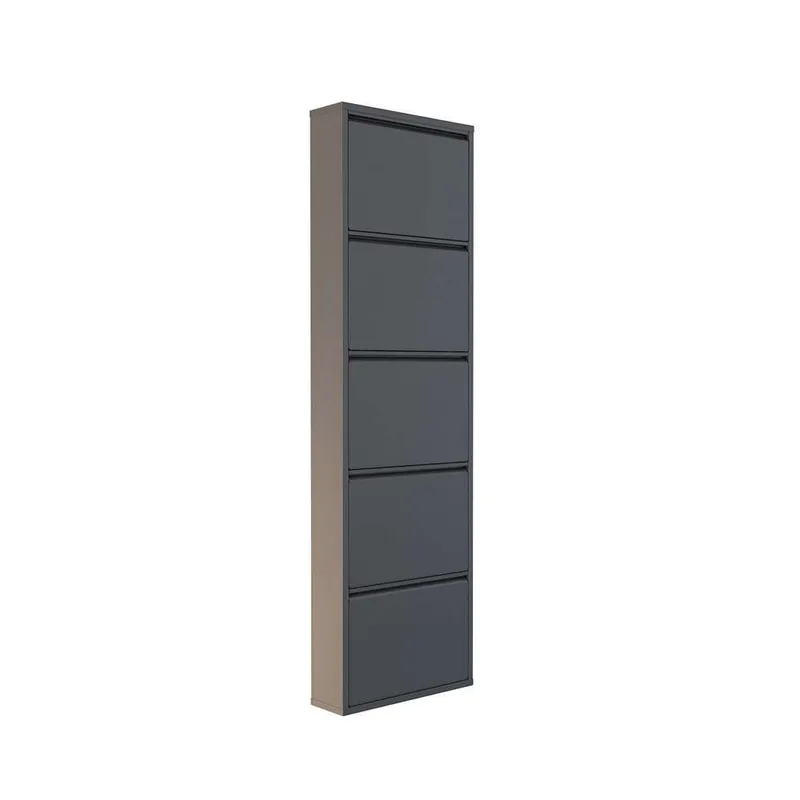 Rylanis kenkäkaappi 50x169 cm - Antrasiitti - Säilytys - Kenkäsäilytys