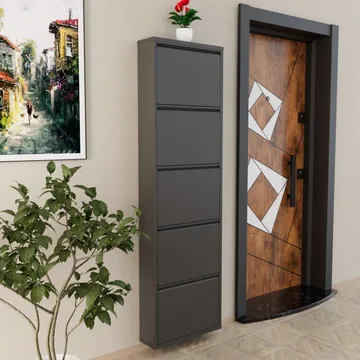 Rylanis kenkäkaappi 50x169 cm - Antrasiitti - Säilytys - Kenkäsäilytys