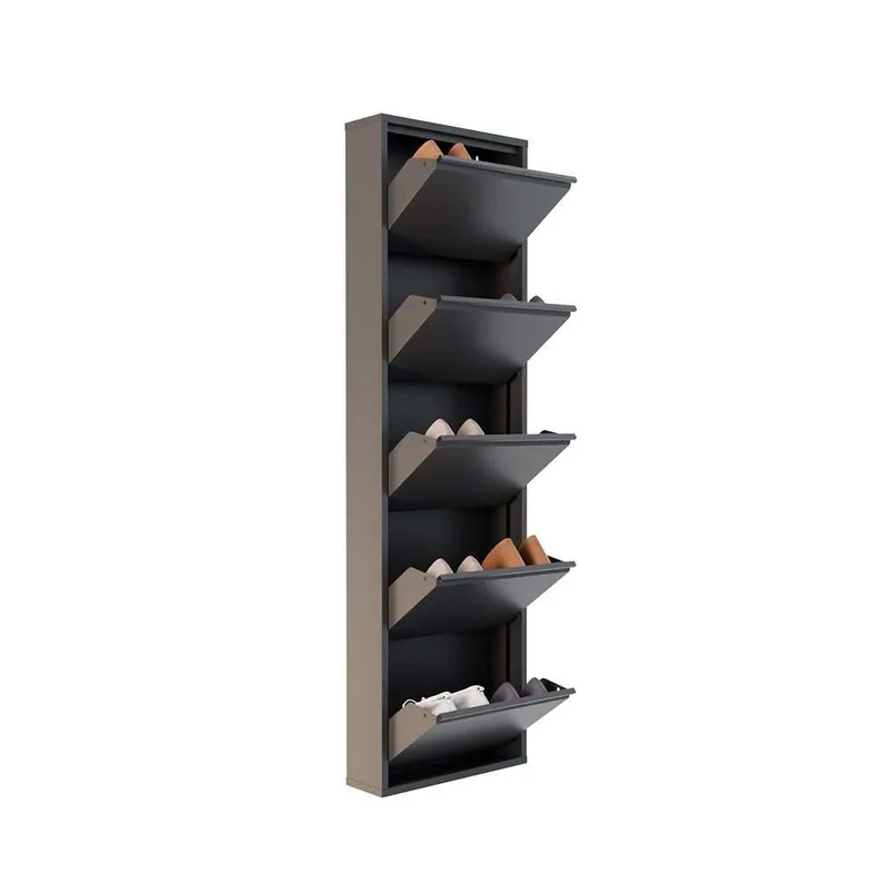 Rylanis kenkäkaappi 50x169 cm - Antrasiitti - Säilytys - Kenkäsäilytys