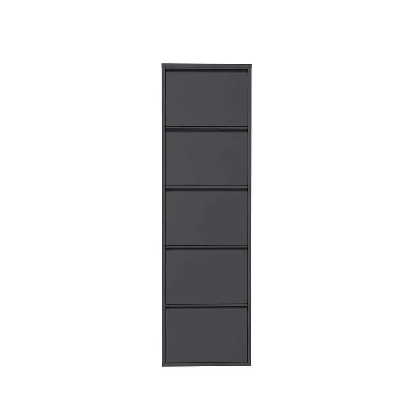 Rylanis kenkäkaappi 50x169 cm - Antrasiitti - Säilytys - Kenkäsäilytys