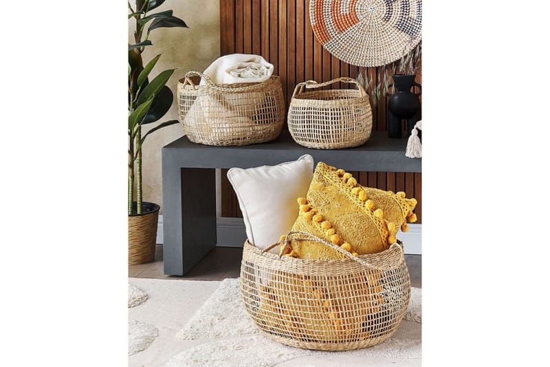 Kori Arapaima 3 kpl - Säilytys - Piensäilytys - Säilytyskorit