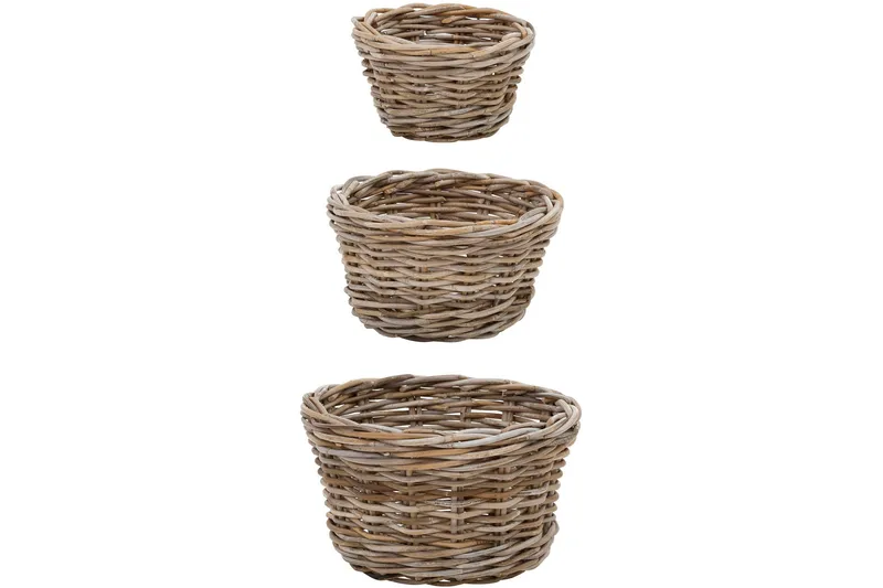 Korisetti Thonon, Harmaa