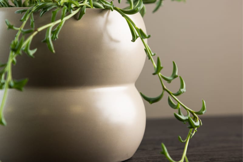 Dapne Ruukku - Beige - Sisustustuotteet - Ruukku & ulkoruukku