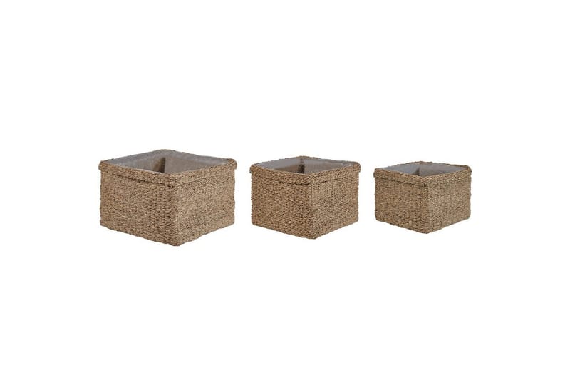 Inomhuskruka Beliani Rivuline set om 3 Nature||Beige - Sisustustuotteet - Ruukku & ulkoruukku