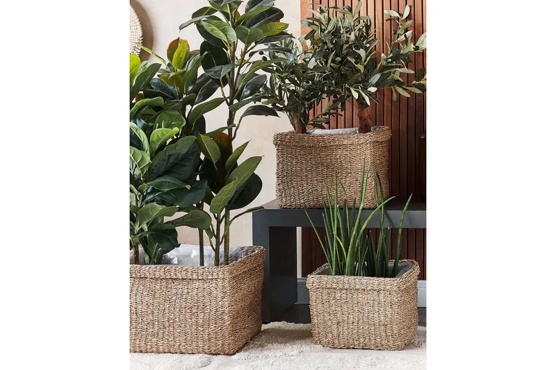 Inomhuskruka Beliani Rivuline set om 3 Nature||Beige - Sisustustuotteet - Ruukku & ulkoruukku