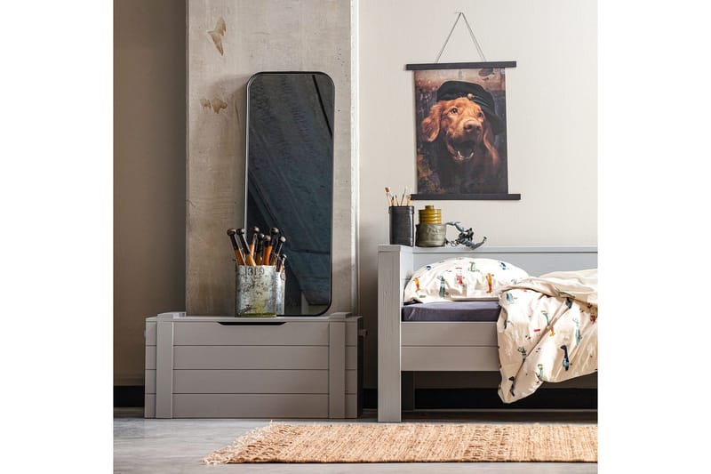 Biella Peili 40x110 cm, undefined