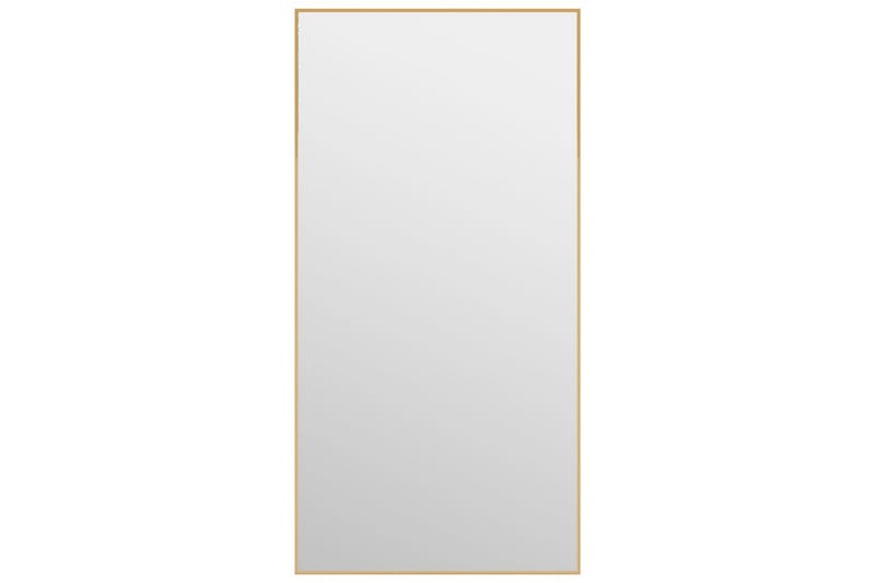 Ovipeili kulta 40x80 cm lasi ja alumiini - Kulta - Sisustustuotteet - Peili