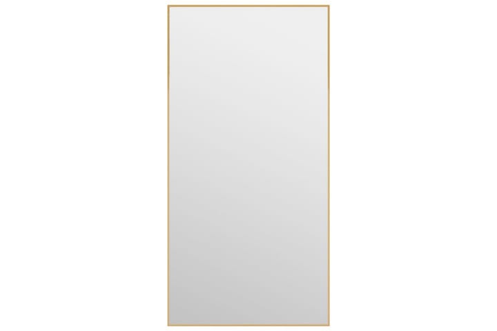Ovipeili kulta 40x80 cm lasi ja alumiini - Kulta - Peili - Eteispeili - Seinäpeili