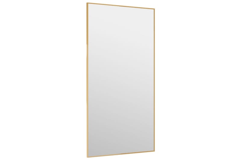 Ovipeili kulta 40x80 cm lasi ja alumiini - Kulta - Sisustustuotteet - Peili