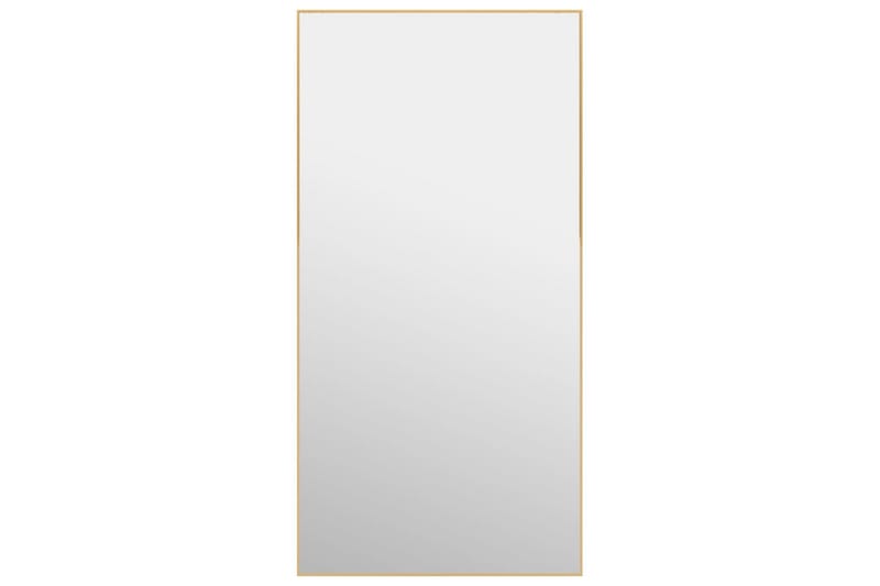 Ovipeili kulta 50x100 cm lasi ja alumiini - Kulta - Sisustustuotteet - Peili