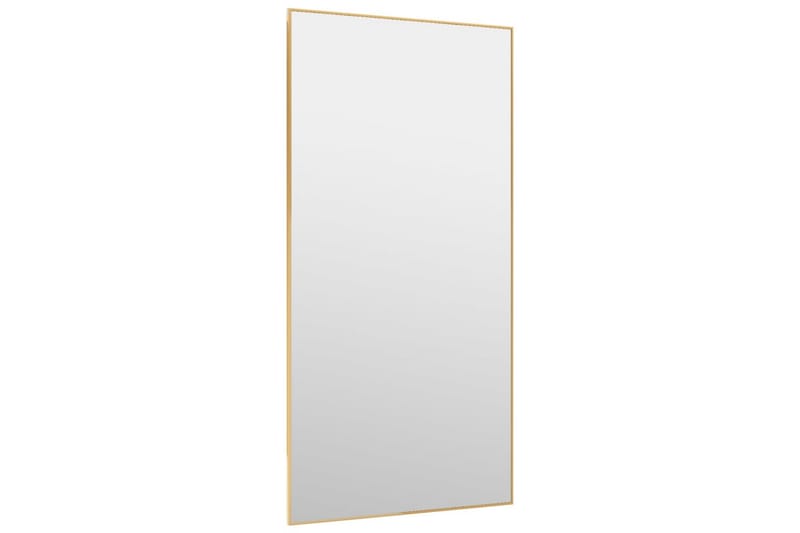 Ovipeili kulta 50x100 cm lasi ja alumiini - Kulta - Sisustustuotteet - Peili
